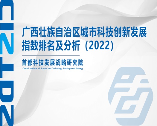 操欧美大屁股肥妞老女人【成果发布】广西壮族自治区城市科技创新发展指数排名及分析（2022）